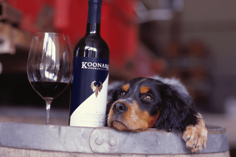 How to truly experience & enjoy a Coonawarra Cabernet Wine