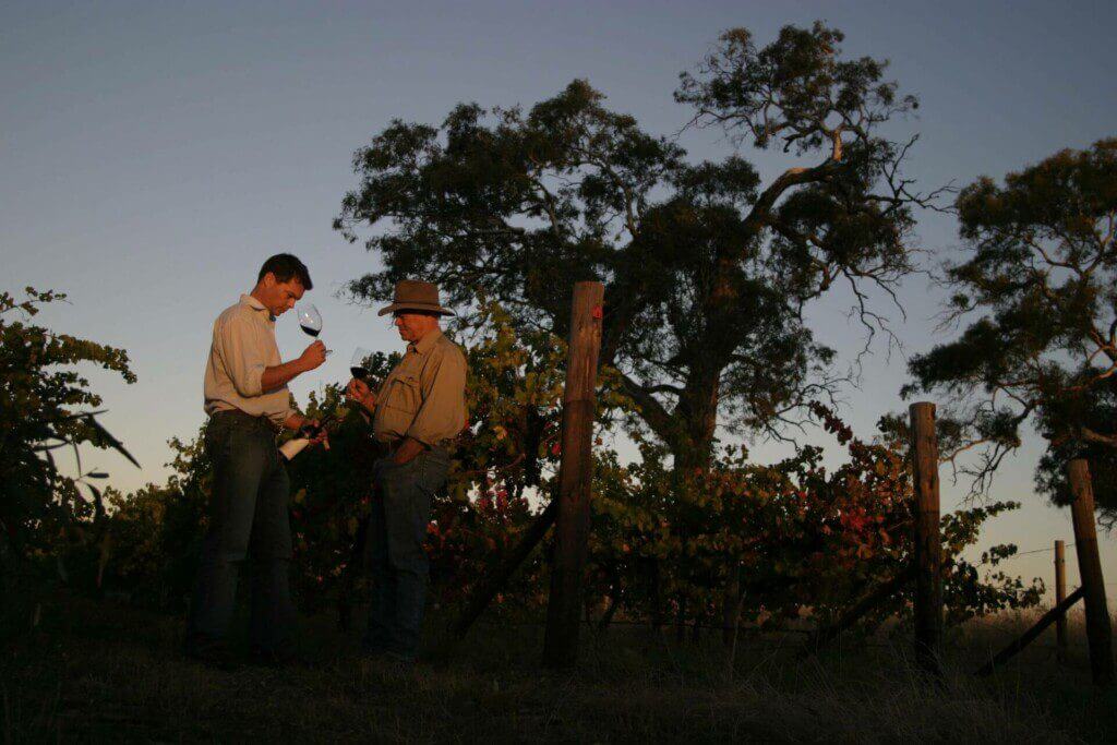 Dru and Trevor Reschke in vineyard with wine glasses