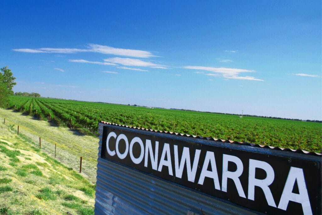 Part of the Coonawarra Sliding sign with bright green vines and a bright blue sky in the background.